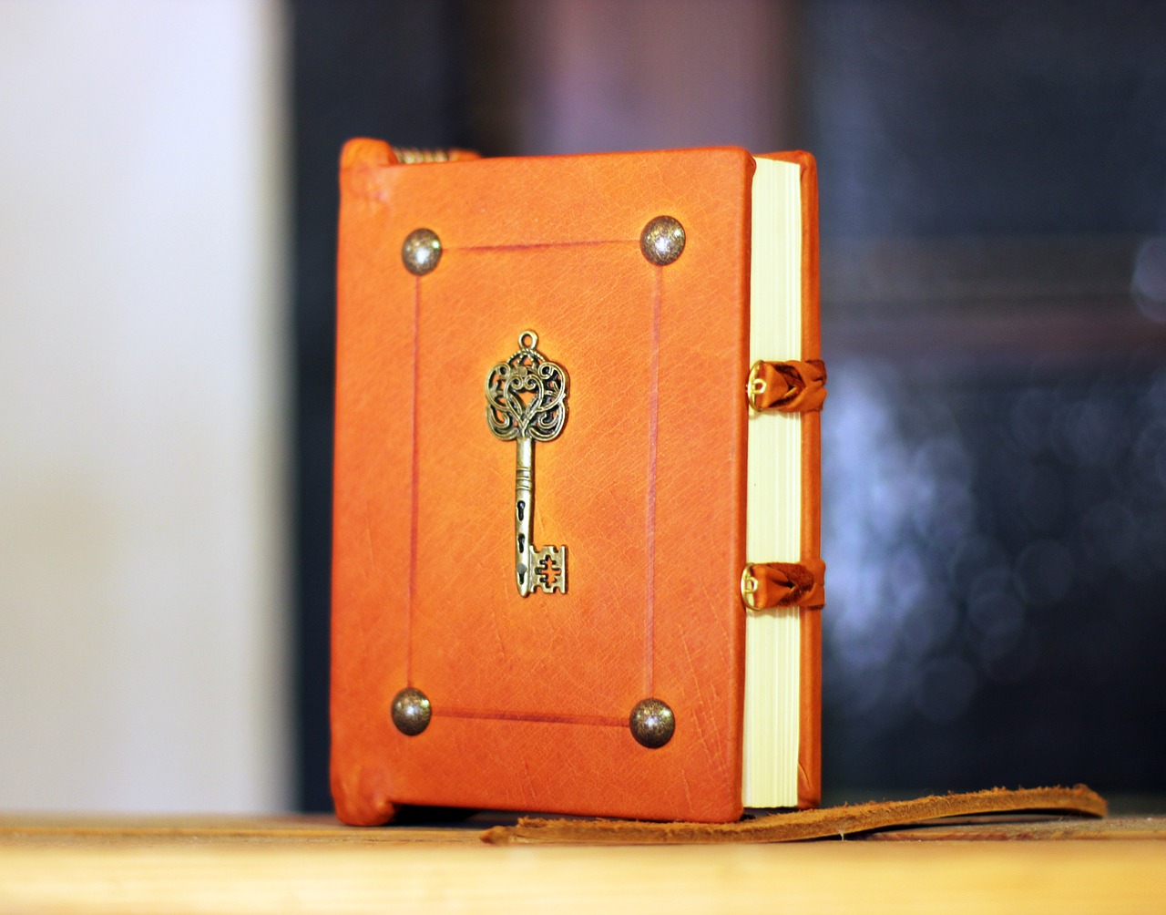 Formatrice d'adulte FSEA